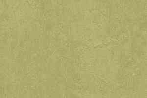 Линолеум Forbo Marmoleum Decibel on Order 326535 avocado фото  | FLOORDEALER